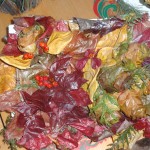 DSC01505