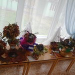 DSC01514